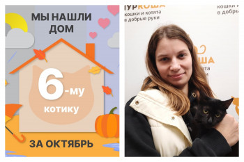 Малыш Рокфеллер теперь домашний и счастливый!