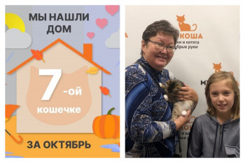 Кошечка Слойка стала домашней за пять дней!
