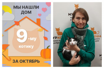 Котик Евгеша стал домашним любимцем!