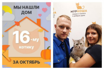 Котик Мэйл очаровал прекрасную семью!