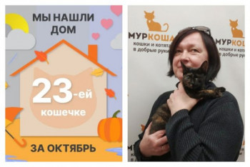 Кошечка Егоза стала домашней и любимой!
