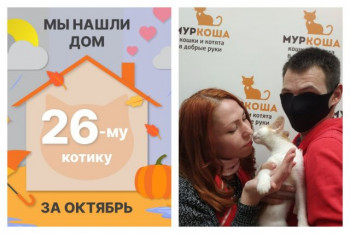 Малыш Бананчик стал домашним котиком!