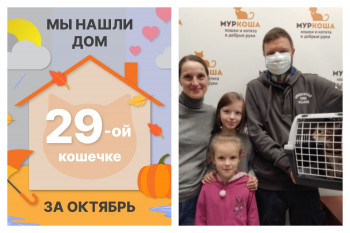 Кошечка Богемия отправилась домой!