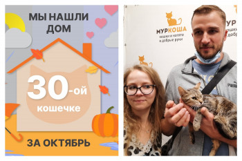 Кошечка Няшка стала домашней и счастливой!