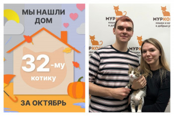 Котик Фуфыр стал частью прекрасной семьи!