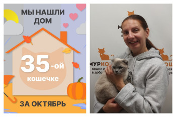 Красавица Мэриам начинает новую жизнь!