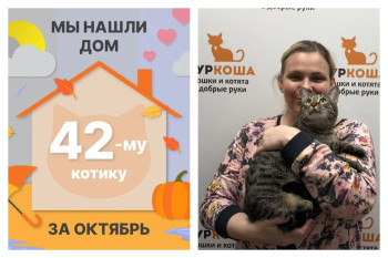 Котик Рутгер стал частью большой и пушистой семьи!