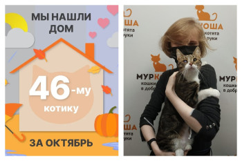 Малыш-Латыш едет домой!