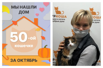 Кошечка Кливия начинает жизнь с чистого листа!