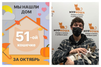 Лапочка Хару стала домашней любимицей!