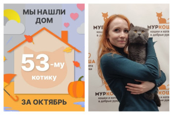 Кот Хосяш встретил замечательную хозяйку!