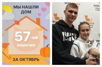 У кошечки Неваляшки теперь есть дом и семья!