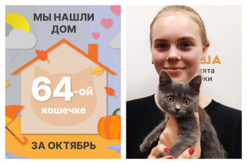 Крошка Невея стала домашней за один месяц!