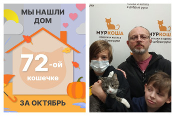 Кошечке Омега встретила надежных хозяев!