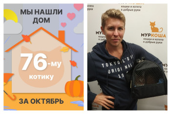Котик Олоф стал домашним и счастливым!