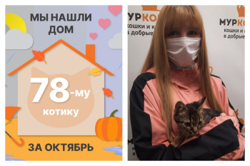 Малыш Лэсли стал домашним за полтора месяца!