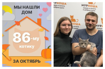 Котик Мышкинс стал частью прекрасной семьи!