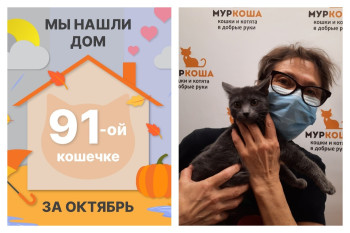 Кошечка Травка отправилась домой!