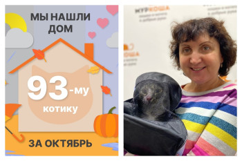 Двухлетний котик Базиль стал домашним любимцем!