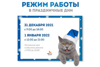 Режим работы в праздничные дни