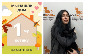 Котик Сау нашел дом за один месяц!