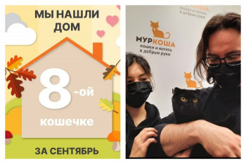 Красавица Айша знакомится со своей новой семьёй!