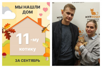 Солнечный Томби уезжает в новый дом!