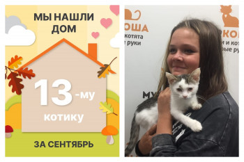 Милый Мусье стал домашним за месяц!