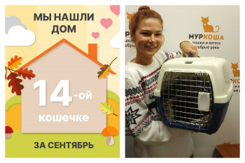 Семилетняя Эври начинает жизнь с чистого листа!