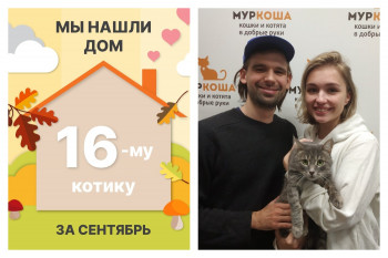Котик Фасолькин стал домашним любимчиком!