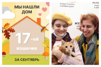 Милая Лимошка отправляется в домашнее счастье!