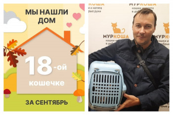 Кошечка Хуанита отправилась домой!