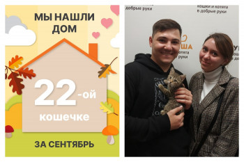 Малюсенькая Наби нашла дом за один месяц!