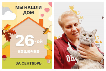 Кошечка Тестаросса нашла дом за два месяца!