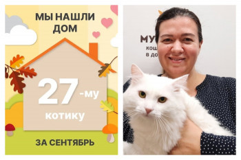 Котик Джонс начинает счастливую жизнь дома!