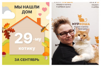 Котик Ярофей теперь домашний и любимый!