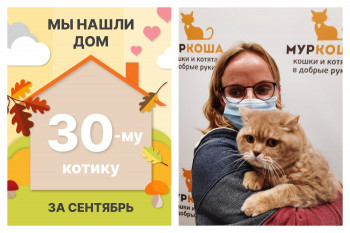 Одиннадцатилетний Мирошка нашел новый дом за две недели!