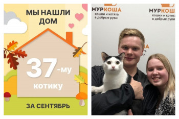 Котик Сулейман рад познакомить со своей семьёй!
