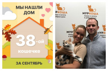 Крошка Капустка теперь домашняя и любимая!