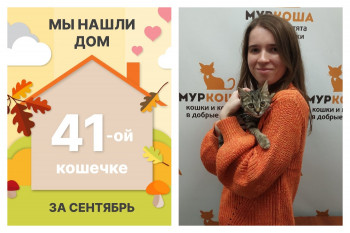 Крошка Иванка нашла дом за полтора месяца!