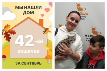 Киото стала домашней за два месяца!