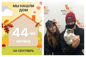 У котёнка Марлона теперь есть любящая семья!
