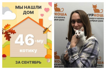Котик Подсолнушек нашёл свой дом всего за три недели!