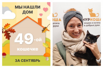 Кошечка Матрешка отправляется в новый дом!