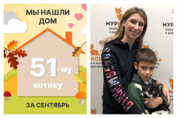 Красавец Рататуй стал домашним любимцем!