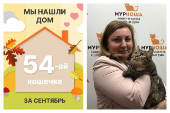 Кошечка Маник стала домашней и счастливой!