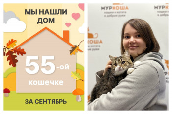Милая Пуговка встретила надежную хозяйку!
