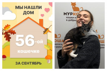 Малышка Оделия отправилась в счастливое домашнее будущее!
