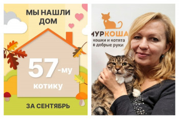 Котик Тризор стал домашним и любимым!