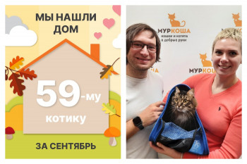Двенадцатилетний Арнольд начинает жизнь с чистого листа!
